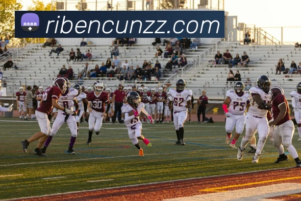 云开体育app官网入口登录网页版平台生态图